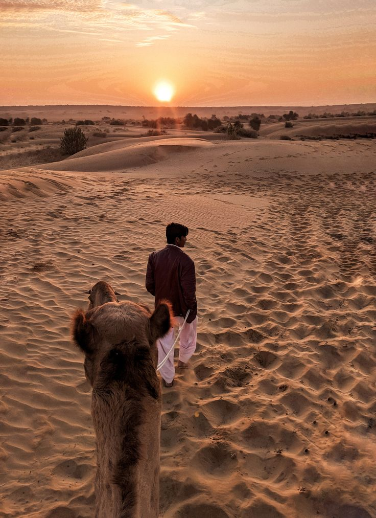 Sam Sand Dunes in Jaisalmer with camel safari during sunset