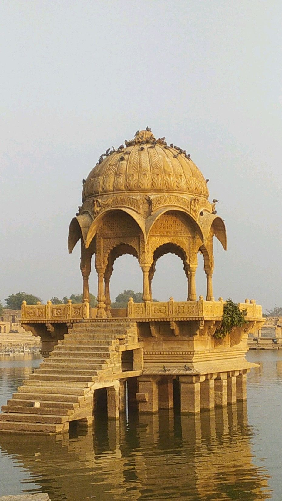 Historic sandstone architecture of Jaisalmer showcasing Rajasthani heritage