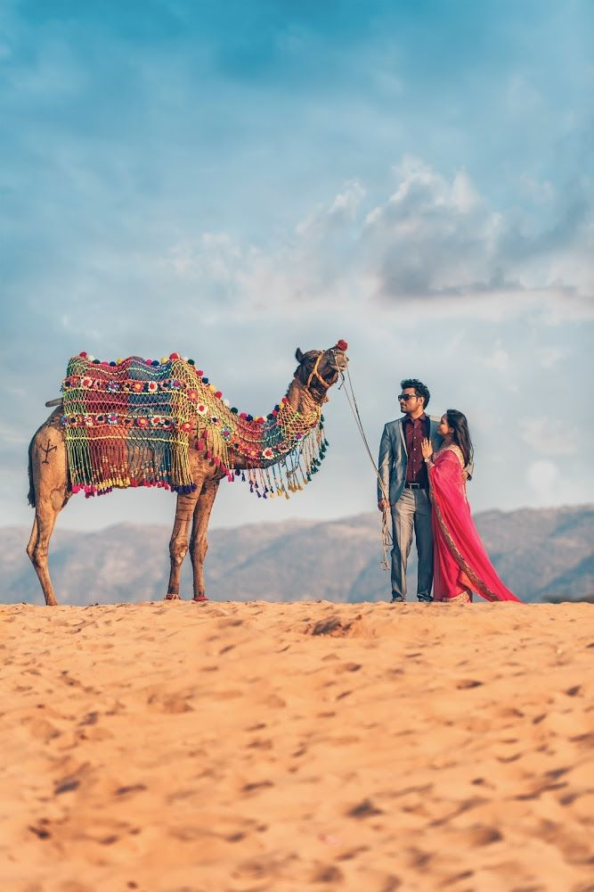 Camel ride experience in Rajasthan during Udaipur Mount Abu group tour